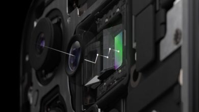 20240703 113912 234447630 910x600 1