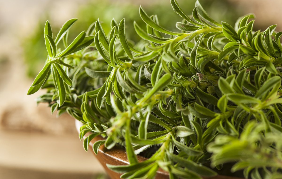 خواص مرزه برای مردان