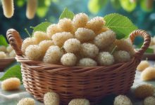 طرز تهیه شیره توت + خواص و ترفندها