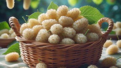 طرز تهیه شیره توت + خواص و ترفندها