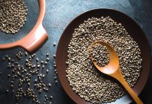 خواص شاهدانه؛ کاهش وزن تا درمان انواع بیماری