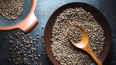 خواص شاهدانه؛ کاهش وزن تا درمان انواع بیماری