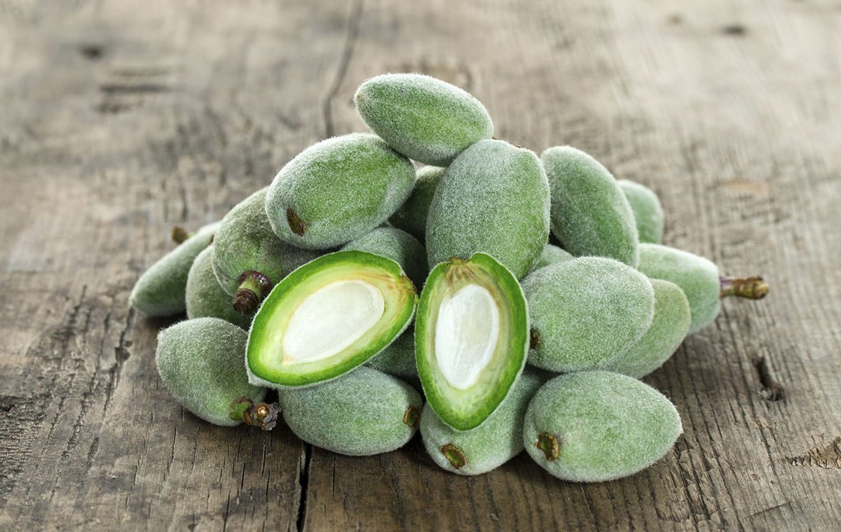 چغاله بادام