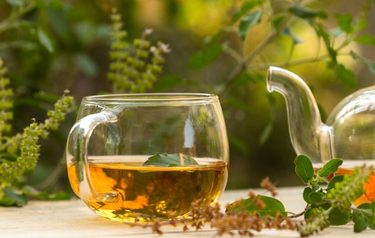 طرز تهیه دمنوش بادرنجبویه - درنا نیوز