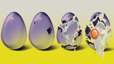 همه چیز درباره قانون دوم ترمودینامیک؛ آیا می‌توان این قاعده بنیادی را نقض کرد؟