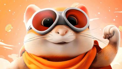 بازی همستر کامبت را بیشتر بشناسید + روش دریافت سکه بیشتر