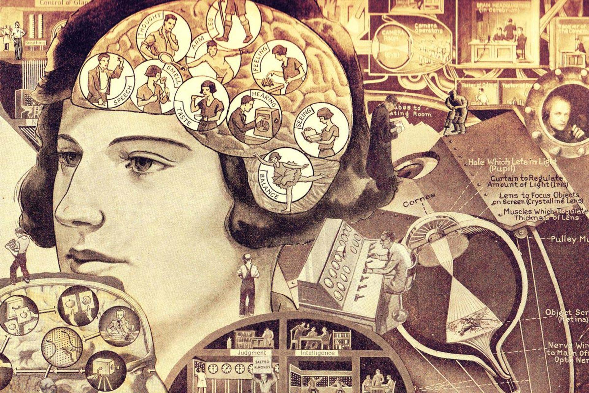 آیا آی کیو مهم است؟ تاریخچه تاریک تست‌های هوش