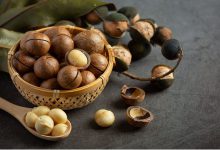 خواص شگفت انگیز آجیل ماکادمیا؛ از لاغری تا سلامت قلب