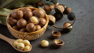 خواص شگفت انگیز آجیل ماکادمیا؛ از لاغری تا سلامت قلب