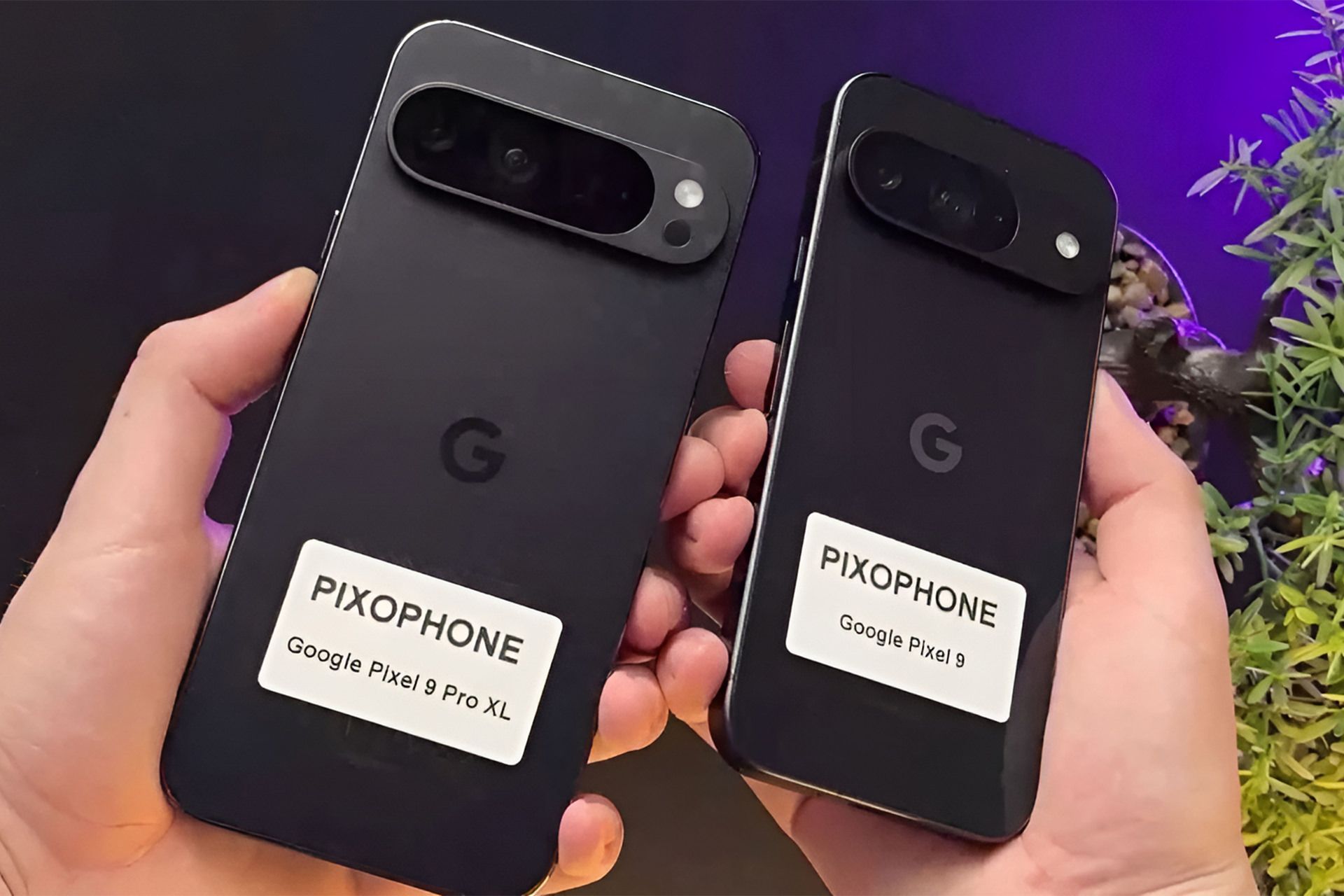 عکس منتسب‌ به پیکسل ۹ و پیکسل ۹ ایکس‌ال، بازطراحی نوار دوربین را نشان می‌دهد