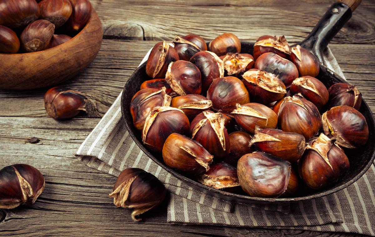 خواص بلوط و آنچه که نمی‌دانید