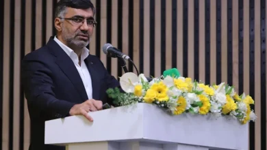 مدیرعامل ایرانسل: ستار هاشمی در حوزه توسعه اقتصاد دیجیتال توانمند و متخصص است