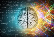 مغز حداقل سه نسخه از هر خاطره ذخیره می‌کند