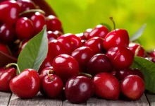 بررسی خواص آلبالو: آشنایی با فواید بی‌نظیر این میوه تابستانی