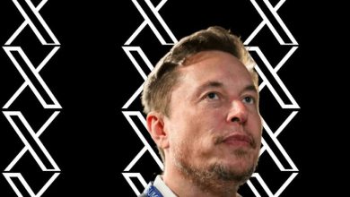 رگولاتور ایرلند ایکس را بهدلیل استفاده از دادههای کاربران در آموزش گراک دادگاهی میکند