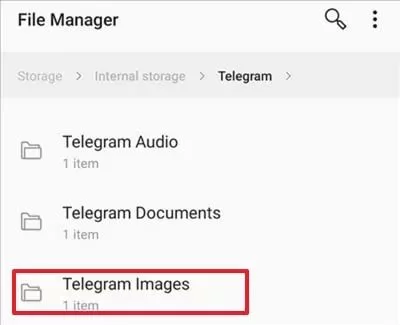File Manager