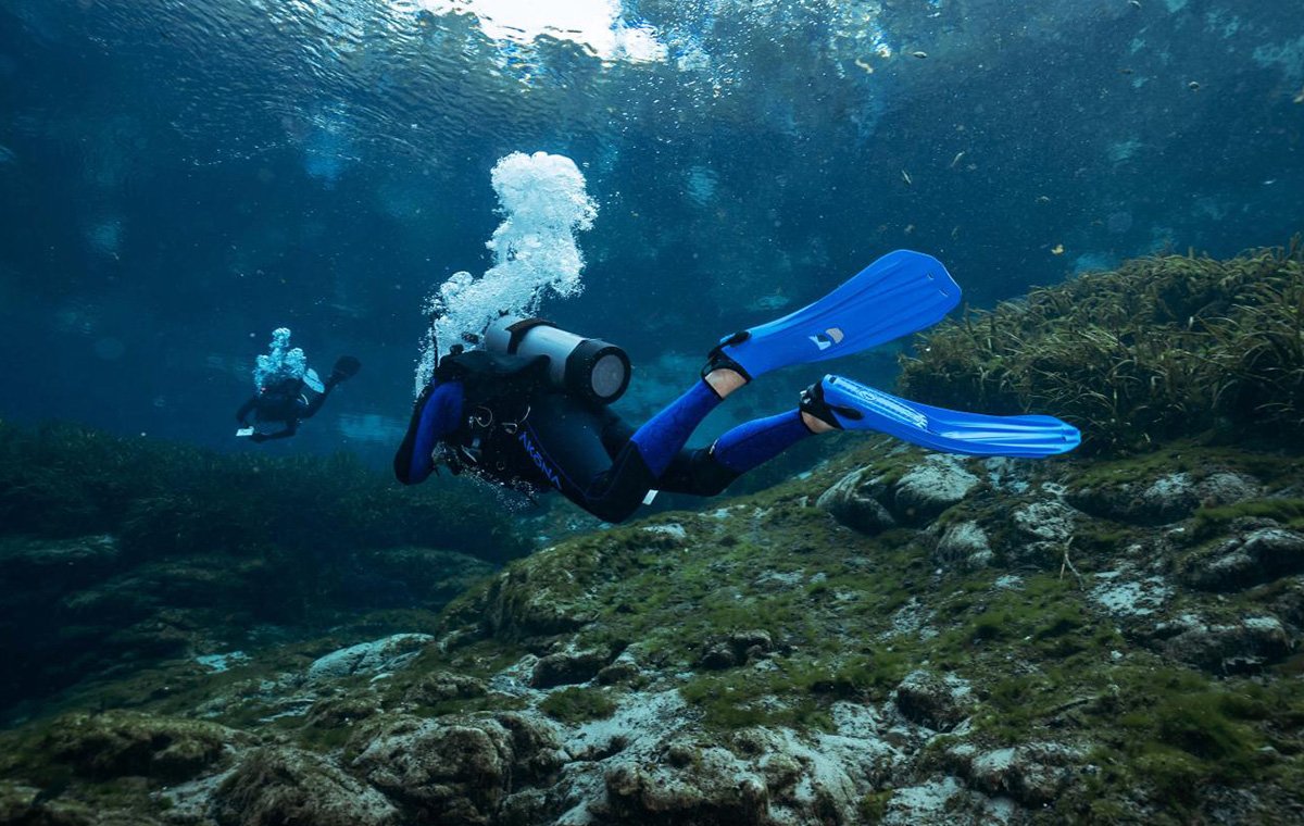 یکی دیگر از نکات مهم راهنمای خرید فین شنا، سفتی آن است.