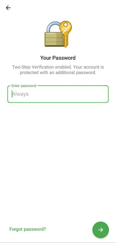 Telegram3 1 1 490x1024 1