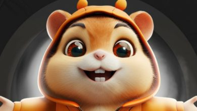 همه‌چیز در مورد بازی همستر کمبت؛ نات‌کوین دوم؟