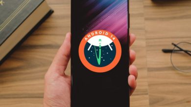 در آستانه عرضه اندروید 15، سهم اندروید 14 در بازار حداقل 13 درصد است