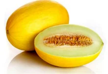 آشنایی با خواص خربزه؛ از کاهش استرس تا سلامت پوست