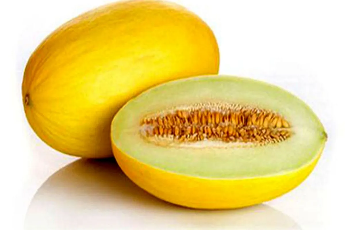 آشنایی با خواص خربزه؛ از کاهش استرس تا سلامت پوست