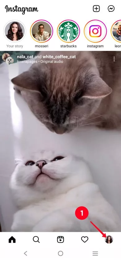 instagram link bio 1