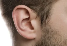 تکامل بی‌هدف؛ چرا نرمه گوش داریم؟