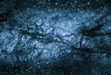 لرزش مدار مریخ ممکن است نشانه پرواز سیاه‌چاله‌ای آغازین در منظومه شمسی باشد