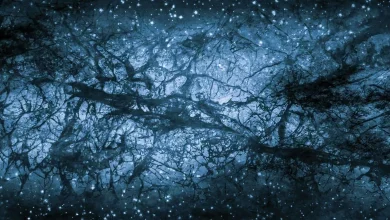 لرزش مدار مریخ ممکن است نشانه پرواز سیاه‌چاله‌ای آغازین در منظومه شمسی باشد