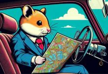 همستر کامبت پس از ایردراپ، نقشه راه آینده خود را اعلام کرد