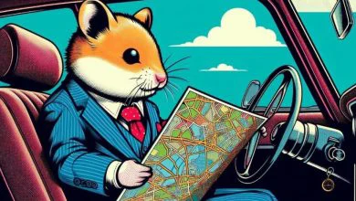 همستر کامبت پس از ایردراپ، نقشه راه آینده خود را اعلام کرد