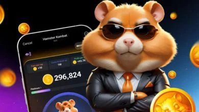 تیم همستر کامبت اعلام کرد؛ کدام صرافی‌ها توکن HMSTER را لیست می‌کنند؟