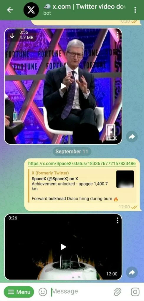 Telegram Video 489x1024 1