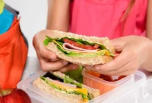cold sandwich for school