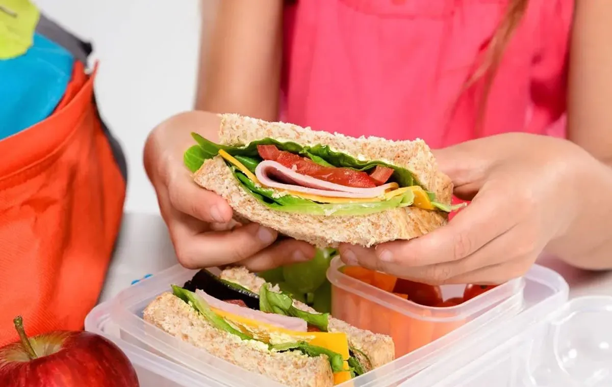cold sandwich for school