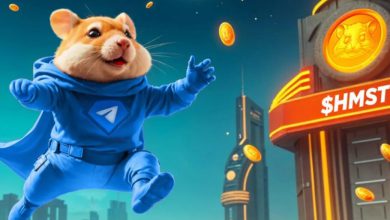 فقط 43 درصد از کاربران همستر کامبت واجد شرایط دریافت توکن شناخته شدند