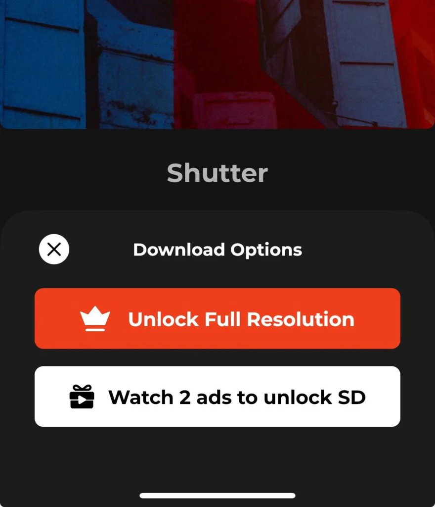 panels free experience 66f38b68ae5e640d9a5def56w1920ampq80