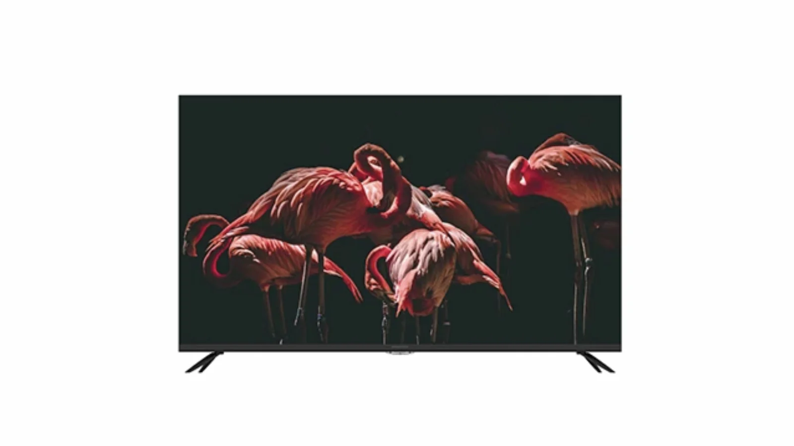 تلویزیون ال ای دی هوشمند پانورامیک PA-55SC373