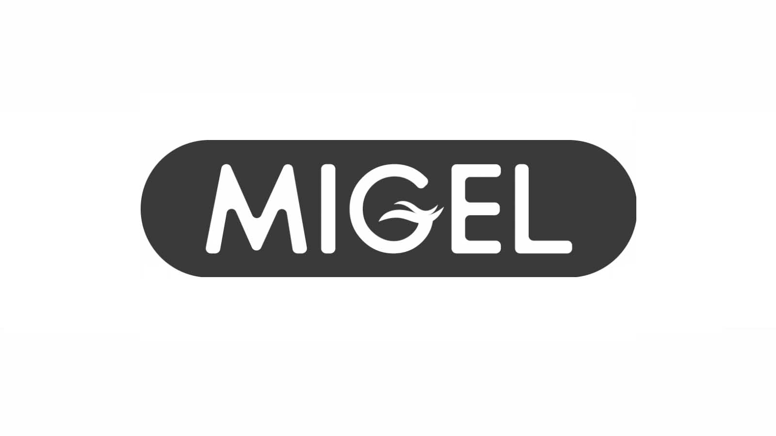 خرید بهترین چای ساز ایرانی