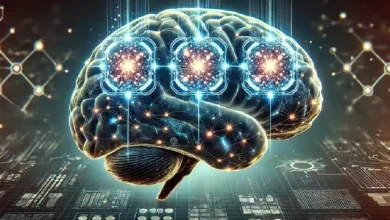 حتی ضربه مغزی خفیف می‌تواند اثرات طولانی‌مدت بر مغز و رفتار داشته باشد