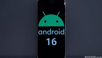 گوگل ترتیب الفبایی را کنار گذاشت؛ نام رمز اندروید 16 ظاهراً «باقلوا» است