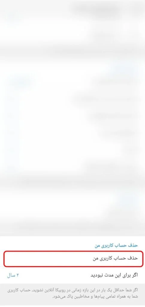 delete rubika3 484x1024 1