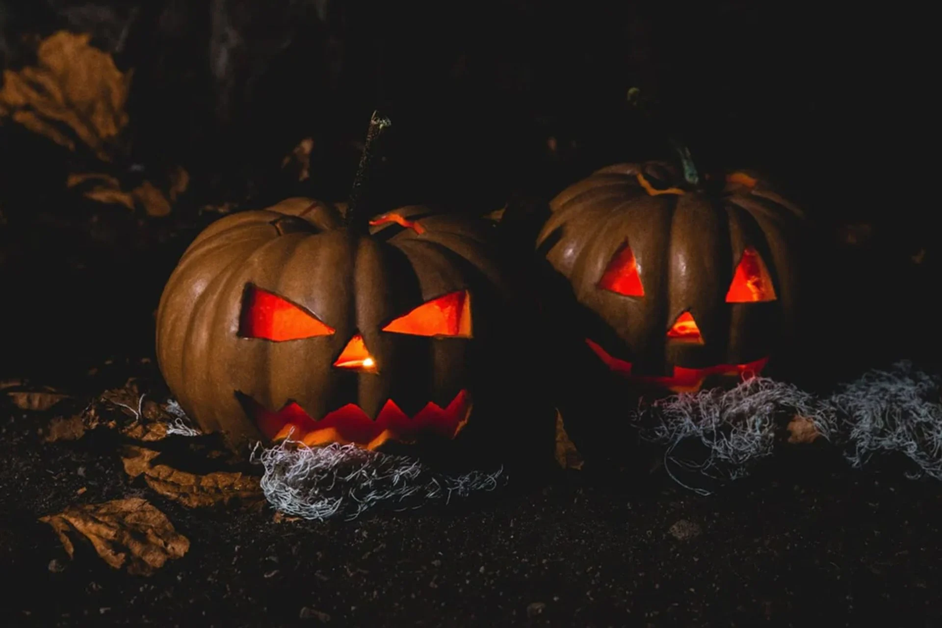 چرا برخی افراد دوست دارند خود را بترسانند؟