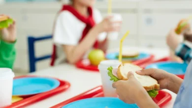 ۸ صبحانه سالم برای مدرسه؛ ساده و خانگی