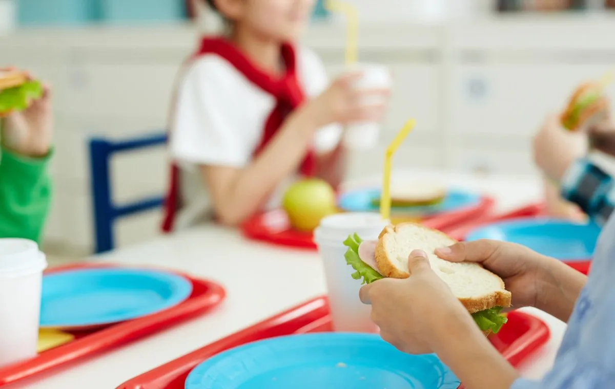 ۸ صبحانه سالم برای مدرسه؛ ساده و خانگی