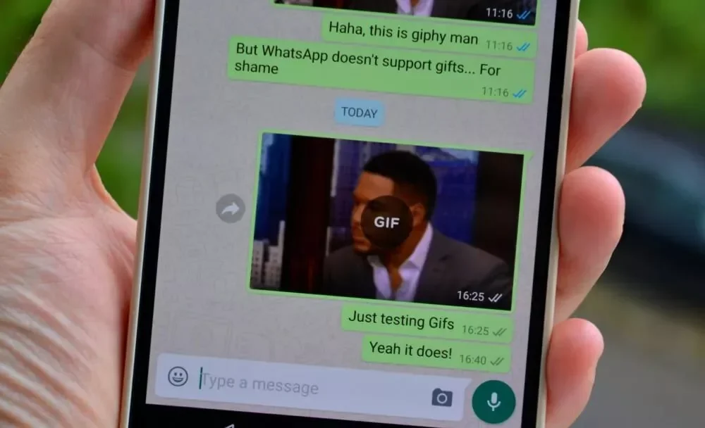whatsapp GIF