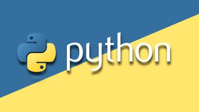 پایتون چیست؟ پاسخ به ۵ سؤال اساسی که مبتدیان باید بدانند