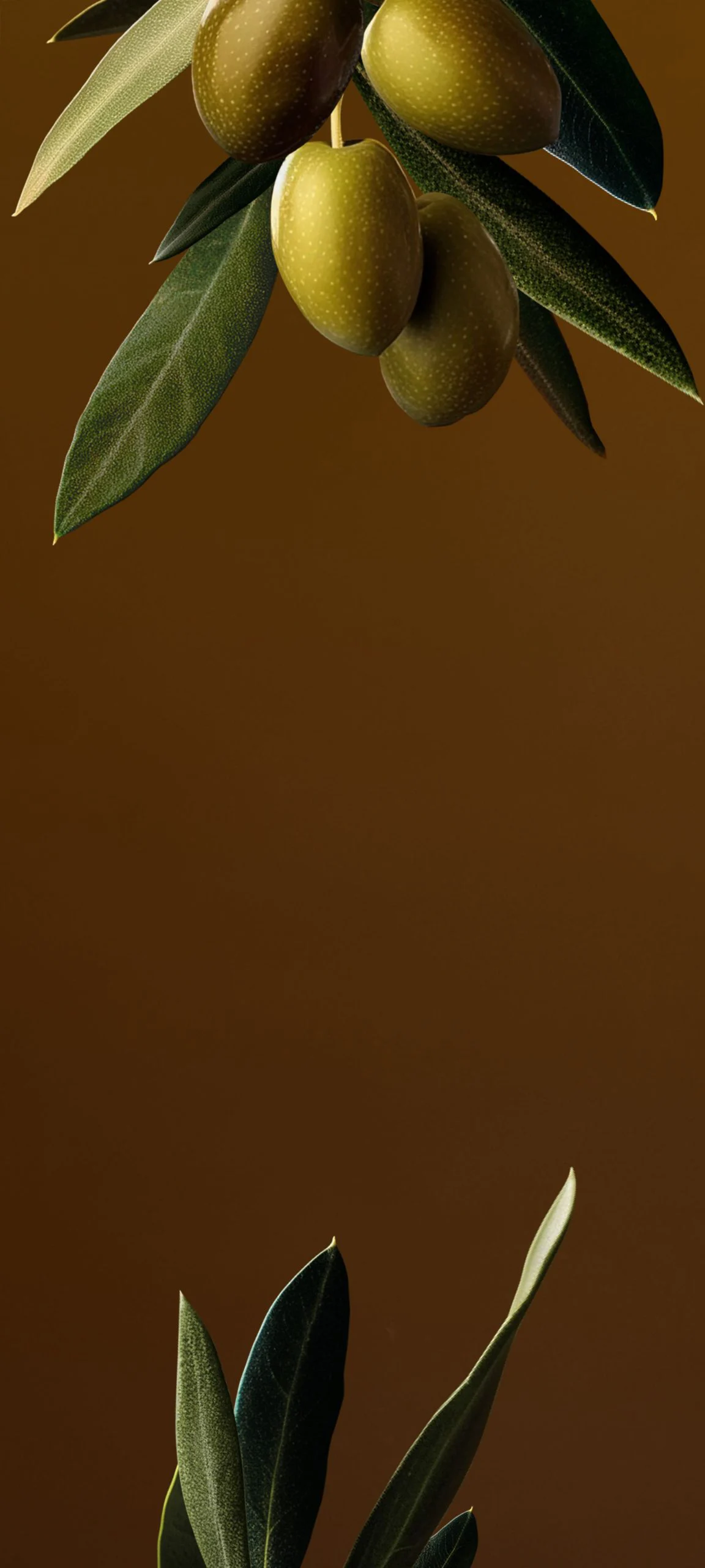 hyperos 2 0 wallpapereast 03 672642d1fe1bf099fd5627acw1920ampq80 scaled