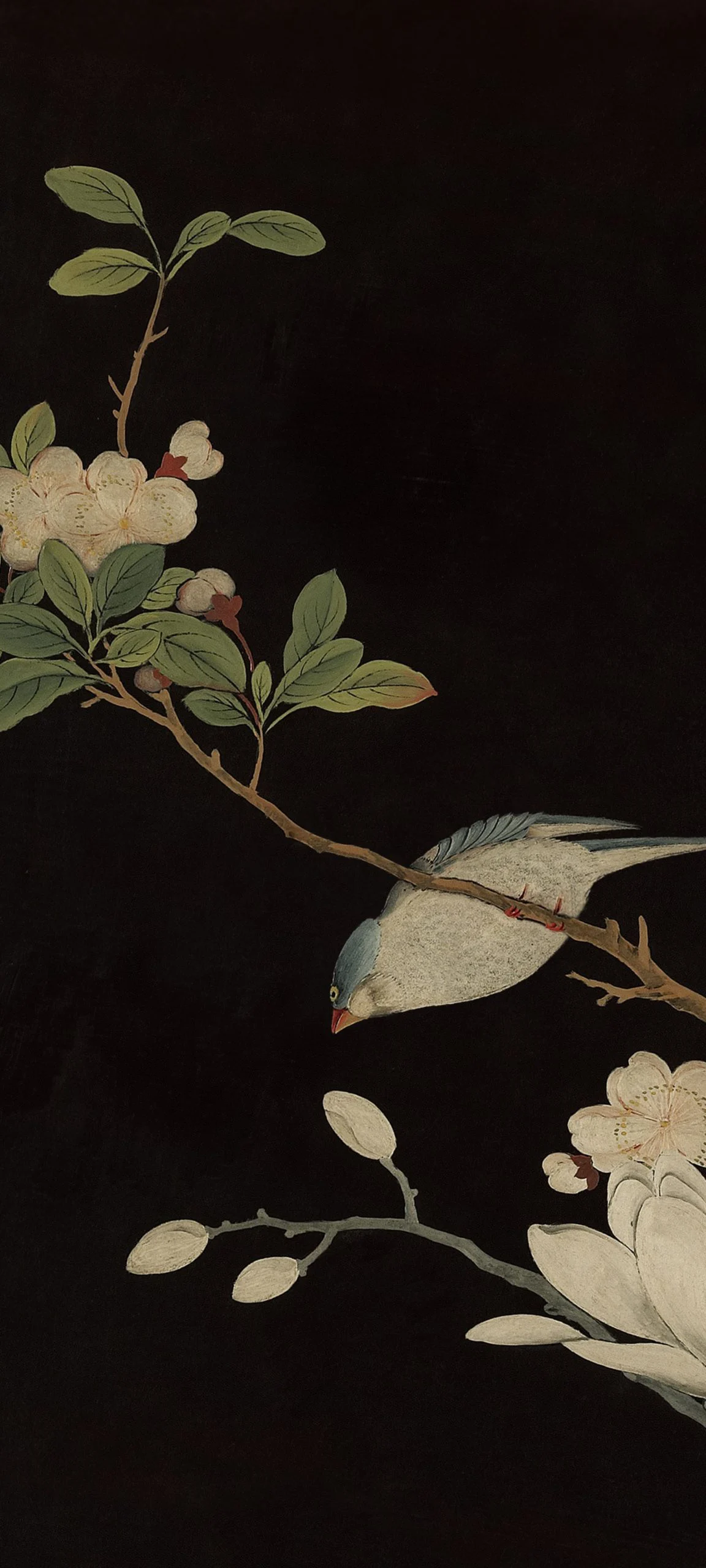 hyperos 2 0 wallpapereast 05 672642dafe1bf099fd5627d3w1920ampq80 scaled